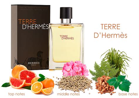 thierry de hermes perfume|hermes terre d'hermes ingredients.